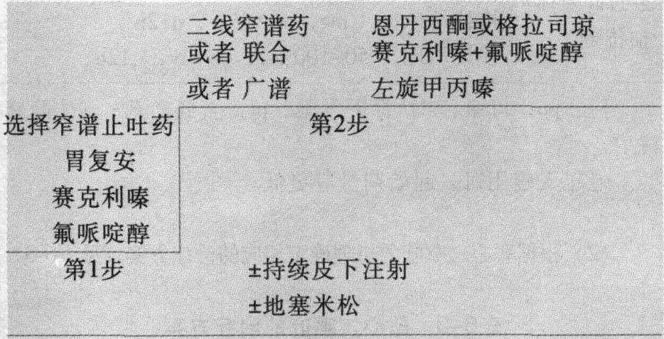 第二節(jié) 惡心、嘔吐